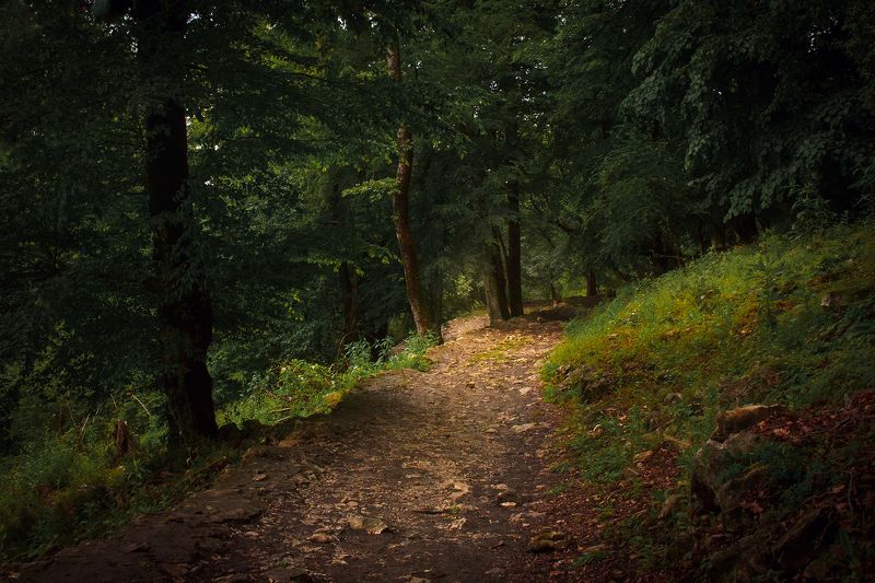 Тропки разные... фото превью