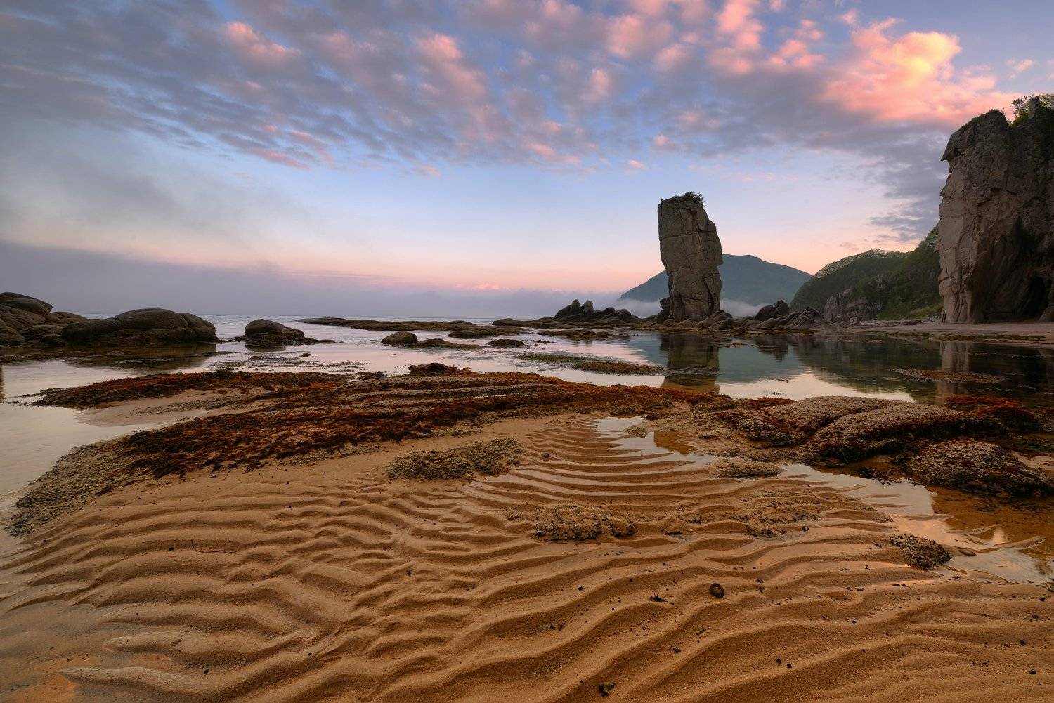 , Максим Евдокимов (www.wildphotorus.ru)