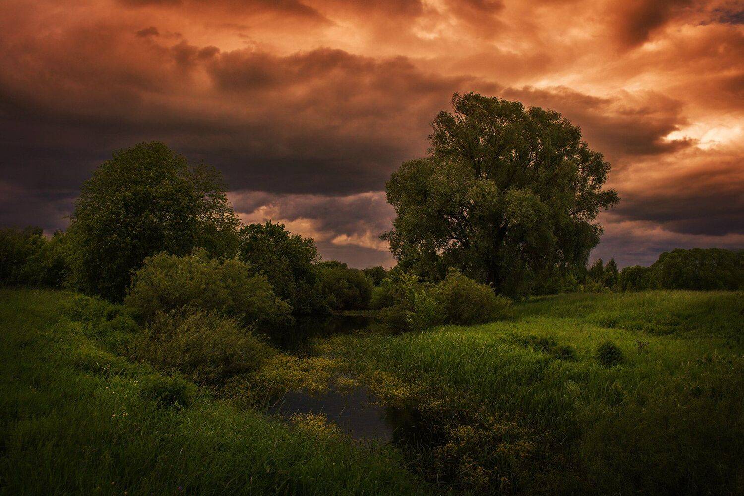 фото, природа, пейзаж, гроза, лес, река, Екатерина