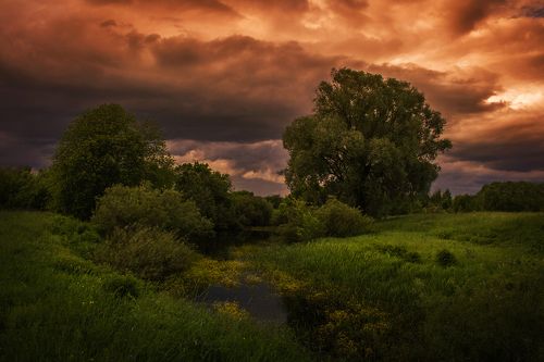 Затишье перед бурей