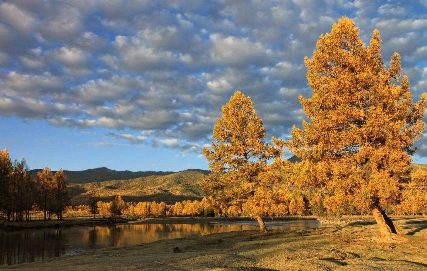 , Галина Хвостенко