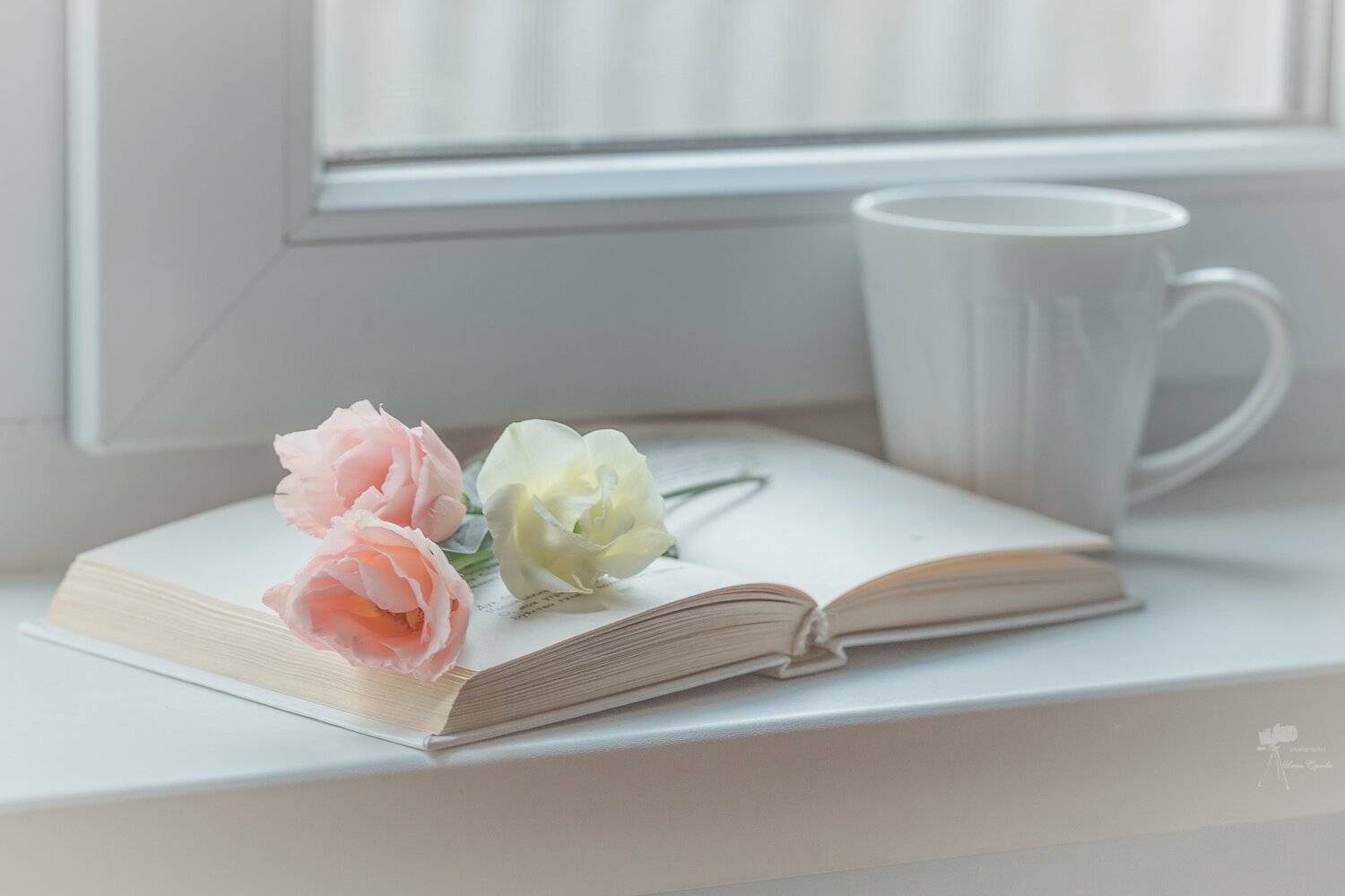 , Инна Сухова