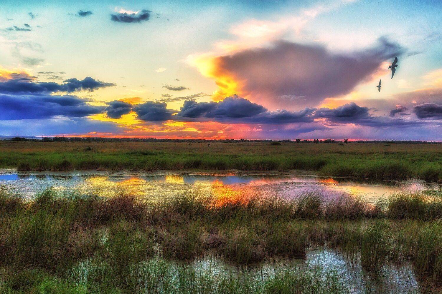 , Павел Сагайдак