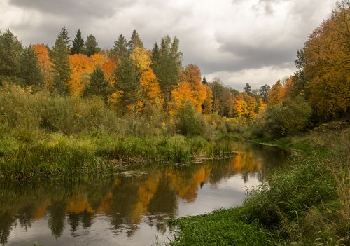 Краски осени в Брянском лесу