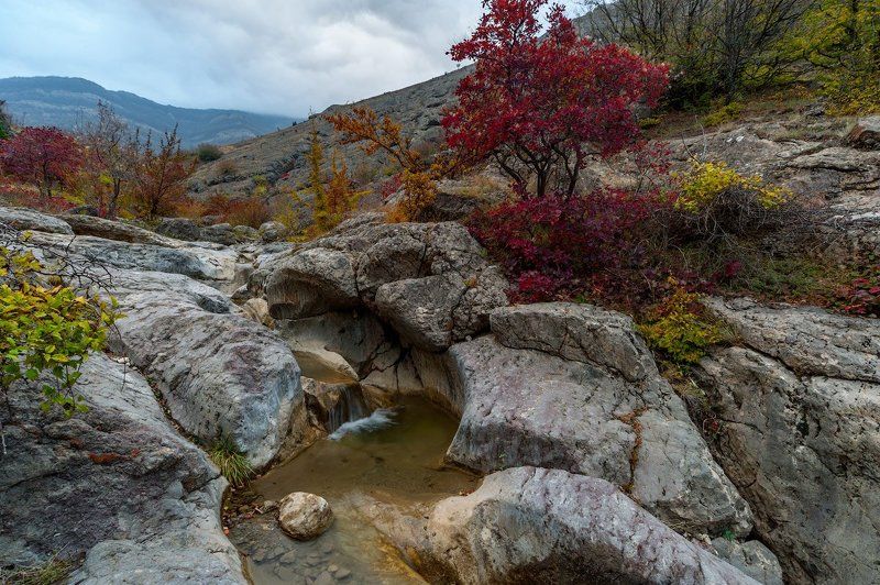 _ фото превью