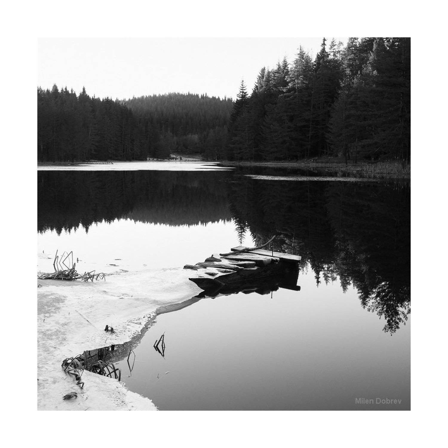 winter, snow, ice, b&w, Милен Добрев