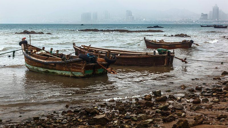Ожидание вечернего промысла фото превью