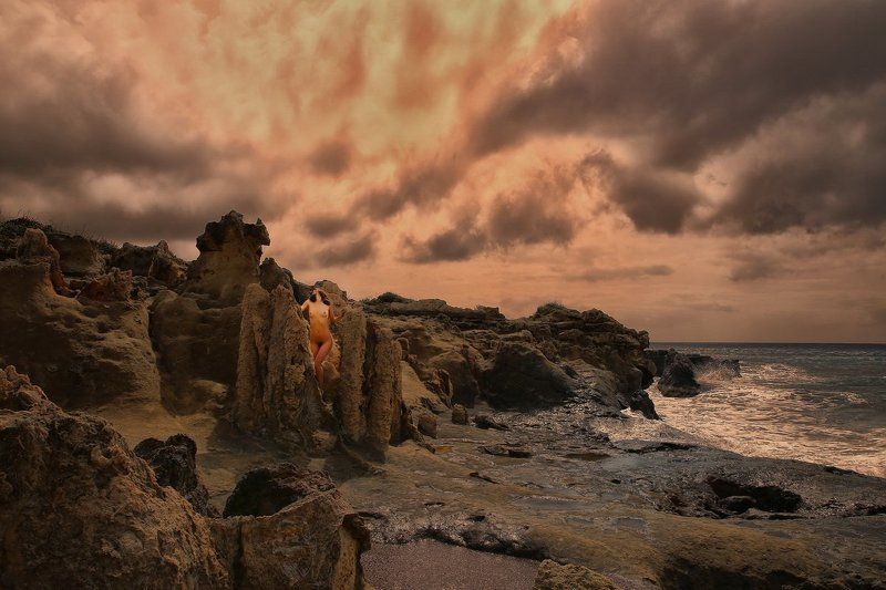 fossil, fossil forest, sea, clouds, rock, stone, stoned trees, Mystik фото превью