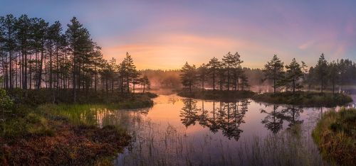 Летняя заря