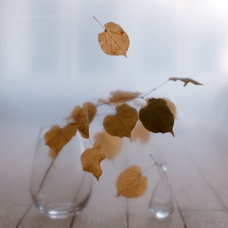 натюрморт бутылки Безмолвие. Продолжение. фото превью