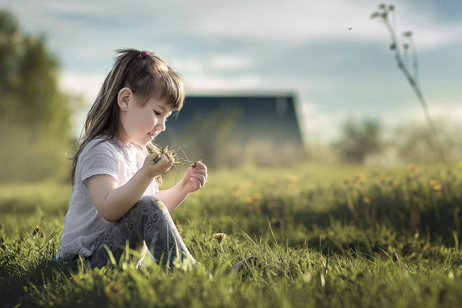 , Наталия Назарова