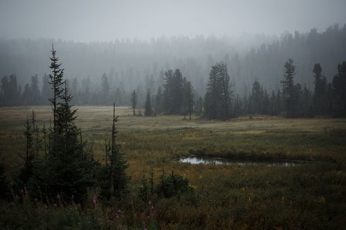 Дыхание осени