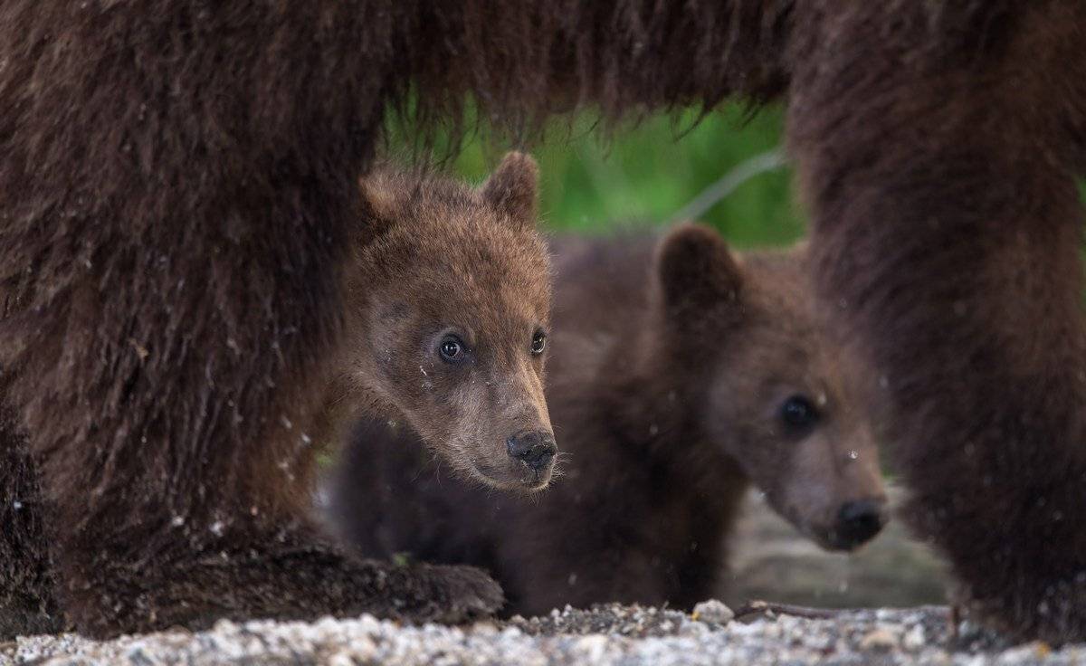 боюсь, Александр Маркелов