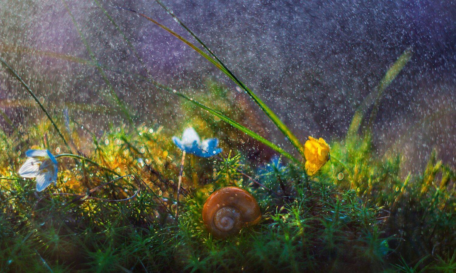 ямал , сибирь, макро, салехард ,макро, Настя Братка