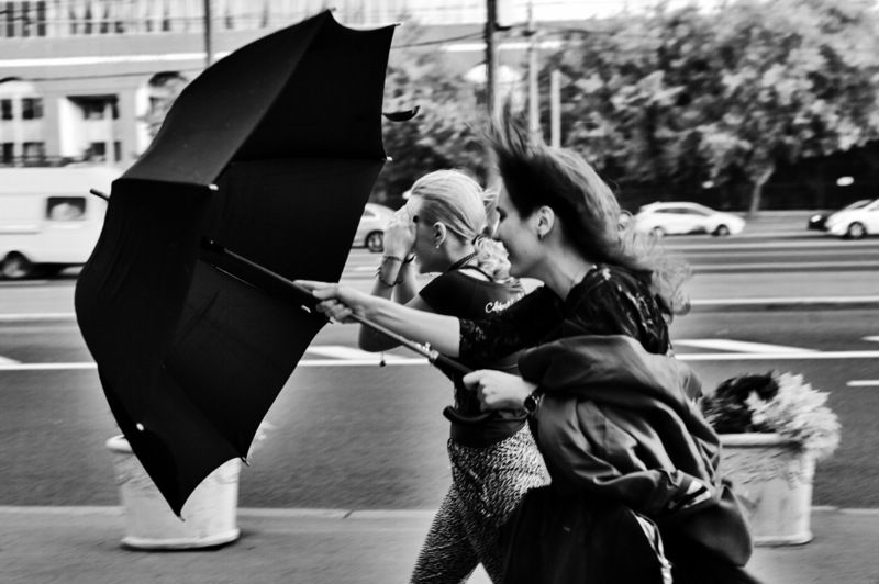 Не страшны нам ни ветер ни дождь фото превью