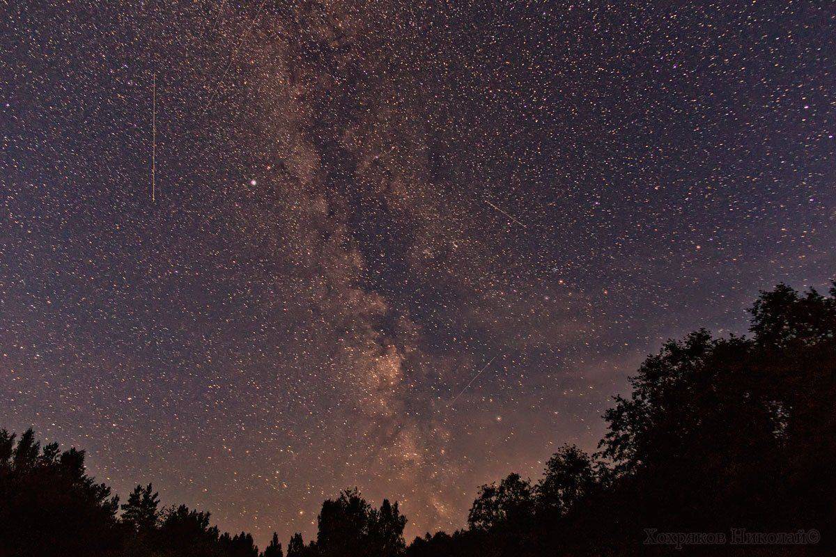 , Хохряков Николай