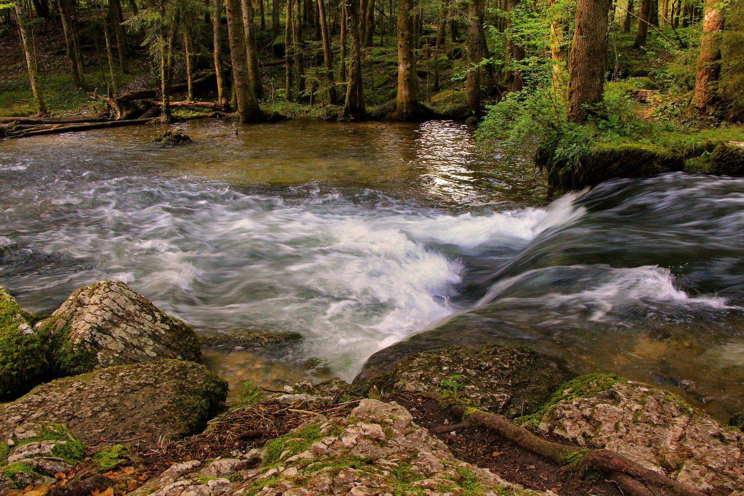 , Рита Гончаренко