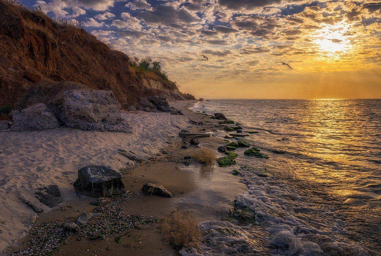 , Игорь Мелекесцев