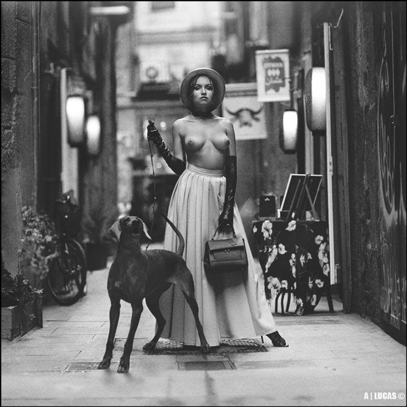 Lanterns of Catalonia © фото превью