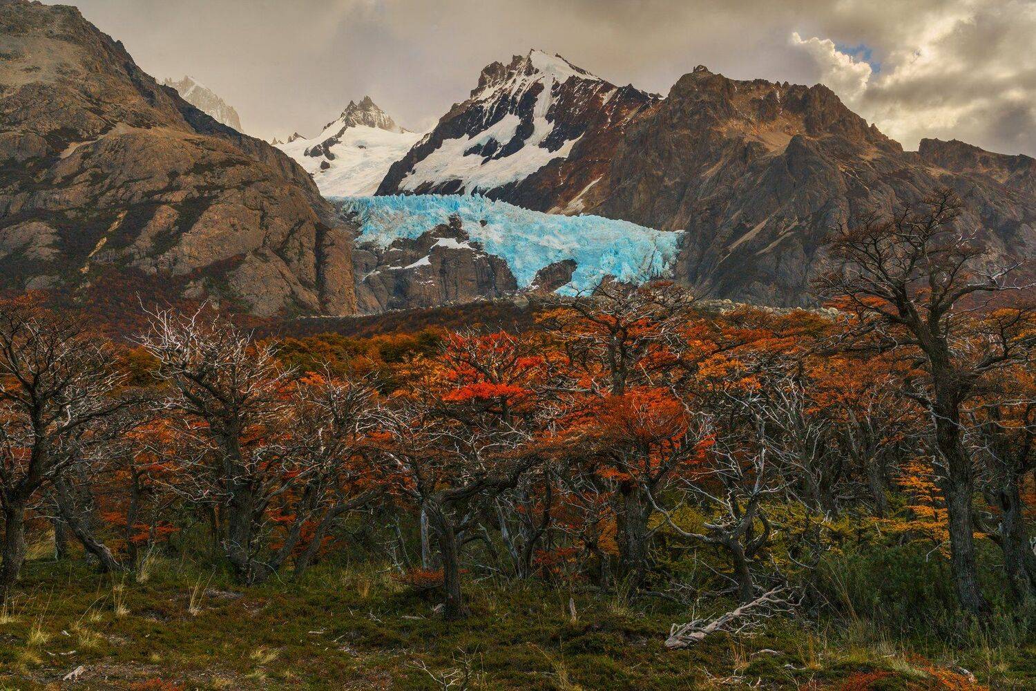 Патагония, Аргентина., Владимир Рябков