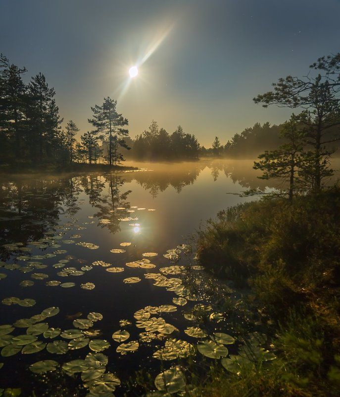Полнолуние на озере фото превью