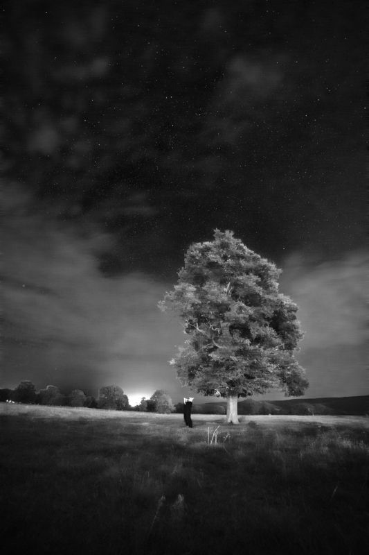 nightscapes, tree, celtic, fairytales, elf, forest, BnW, black and white, cloudy Кельтская сказка. фото превью