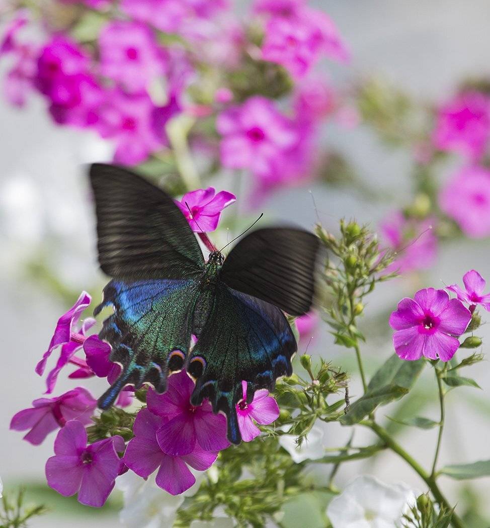 , Евгений Слободской