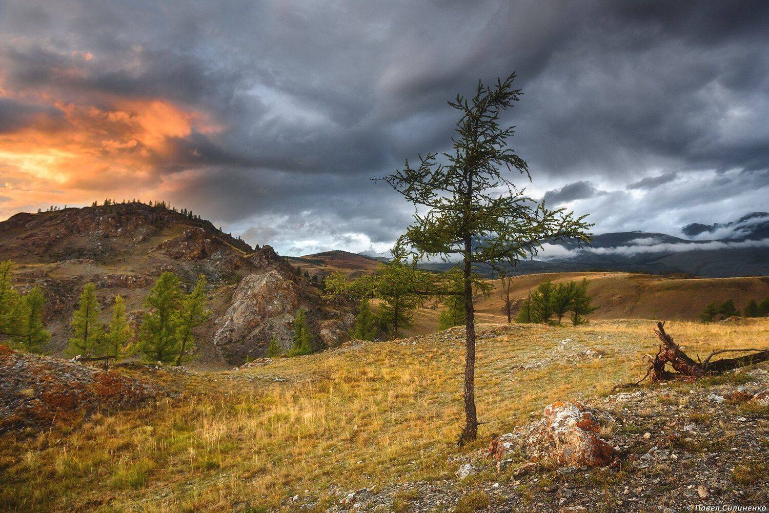 алтай, курайская степь, пейхаж, закат, горы, осень, Павел Силиненко