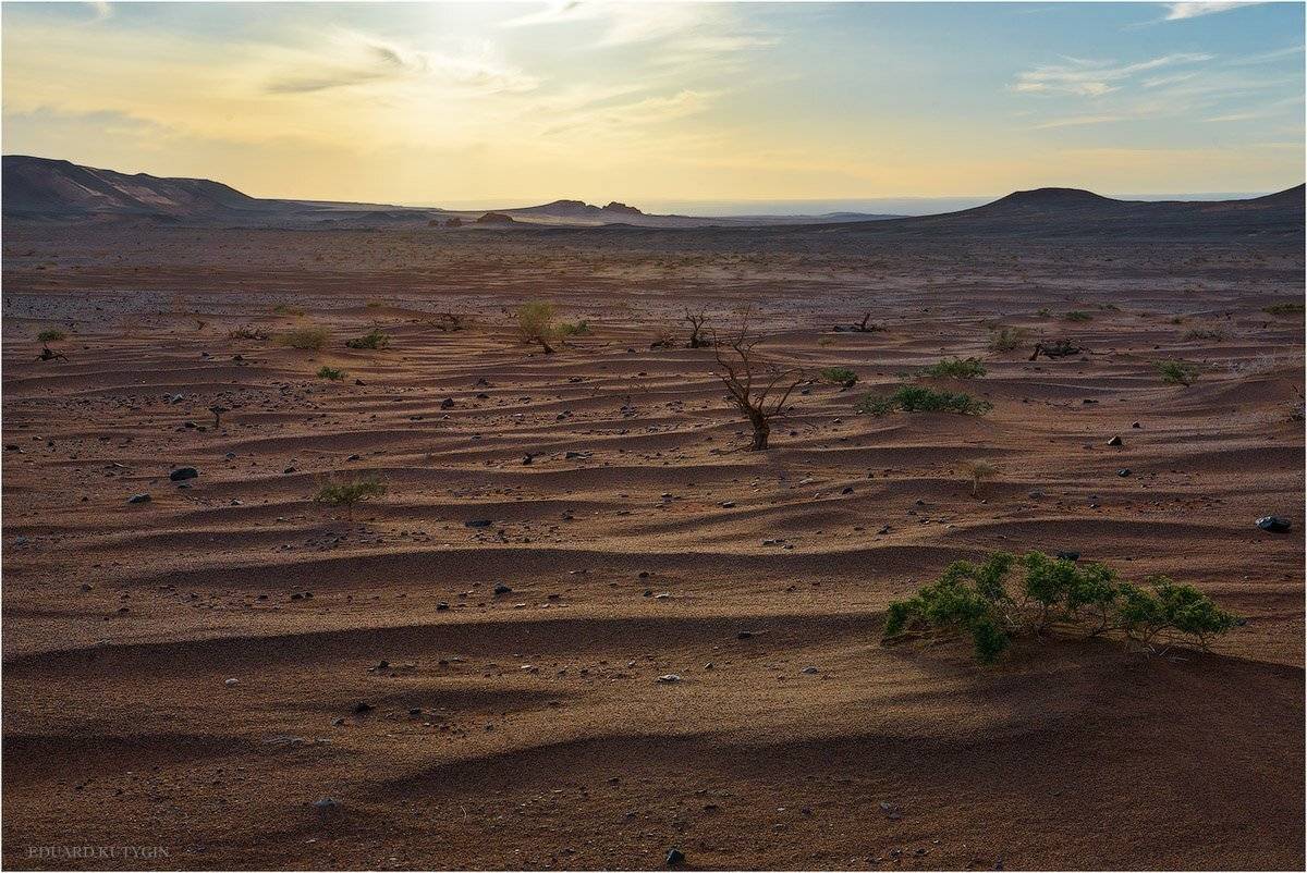 Монголия, Гоби, пустыня, останцы, останец, весна, херменцав, харманцав, , Кутыгин Эдуард