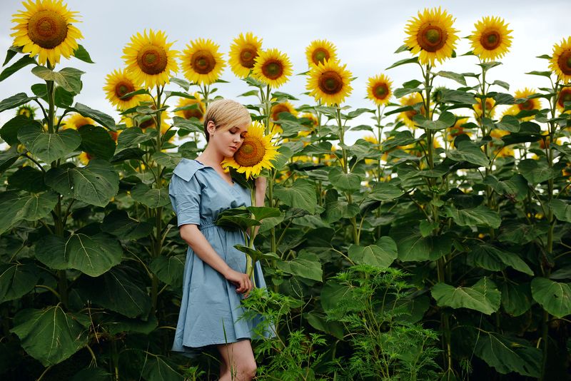 Девушка, поле, подсолнухи, подсолнух Музыкальная фото превью
