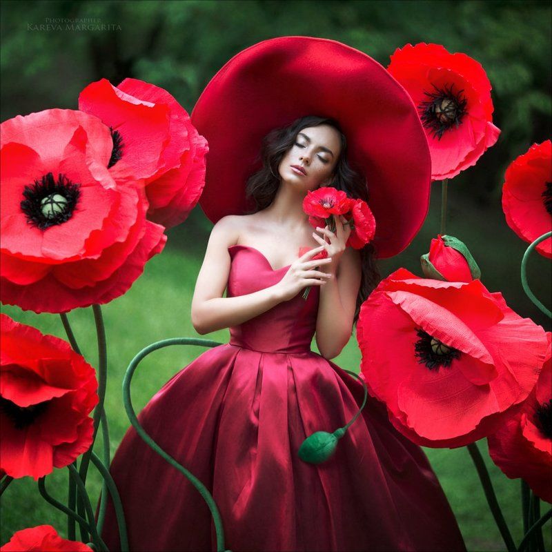 Маки фото превью