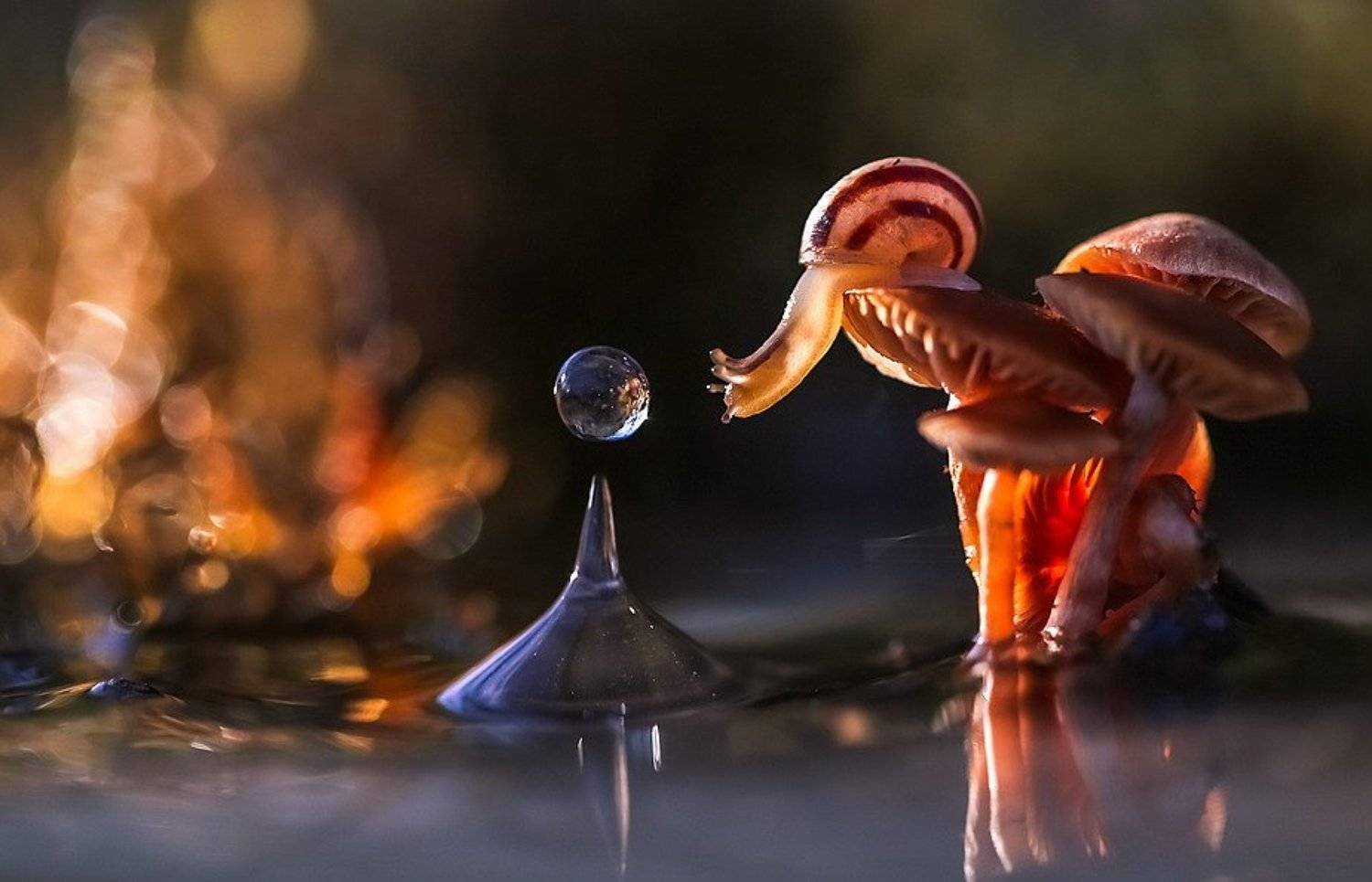 , Вячеслав Мищенко