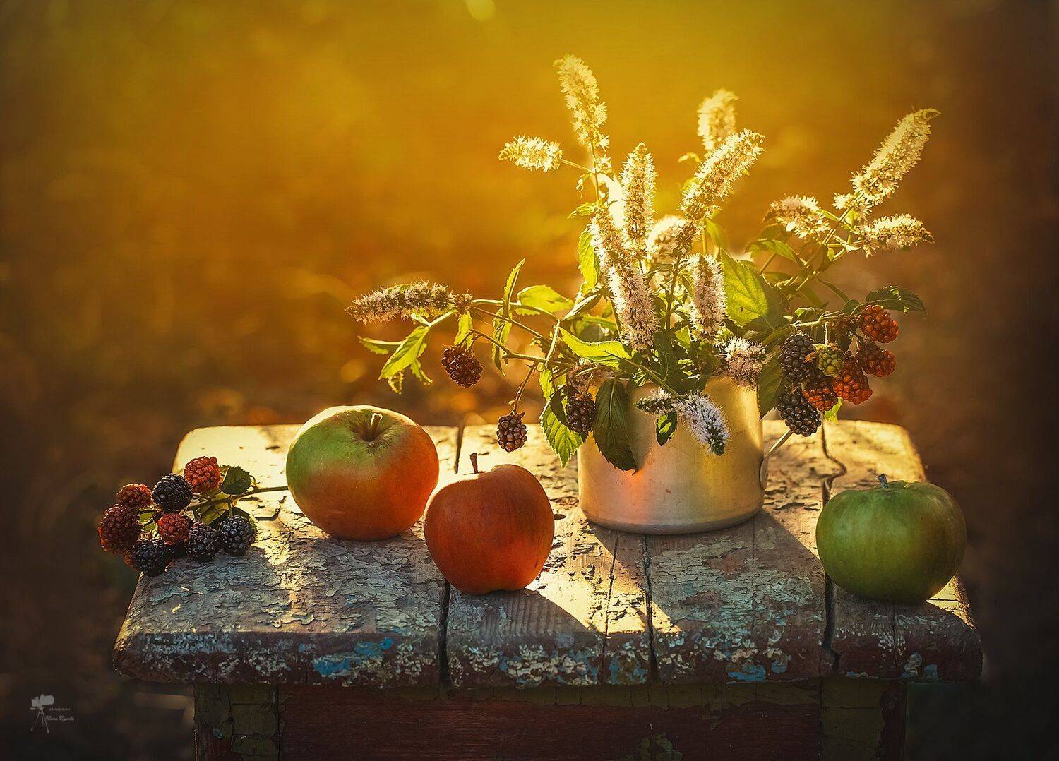 , Инна Сухова