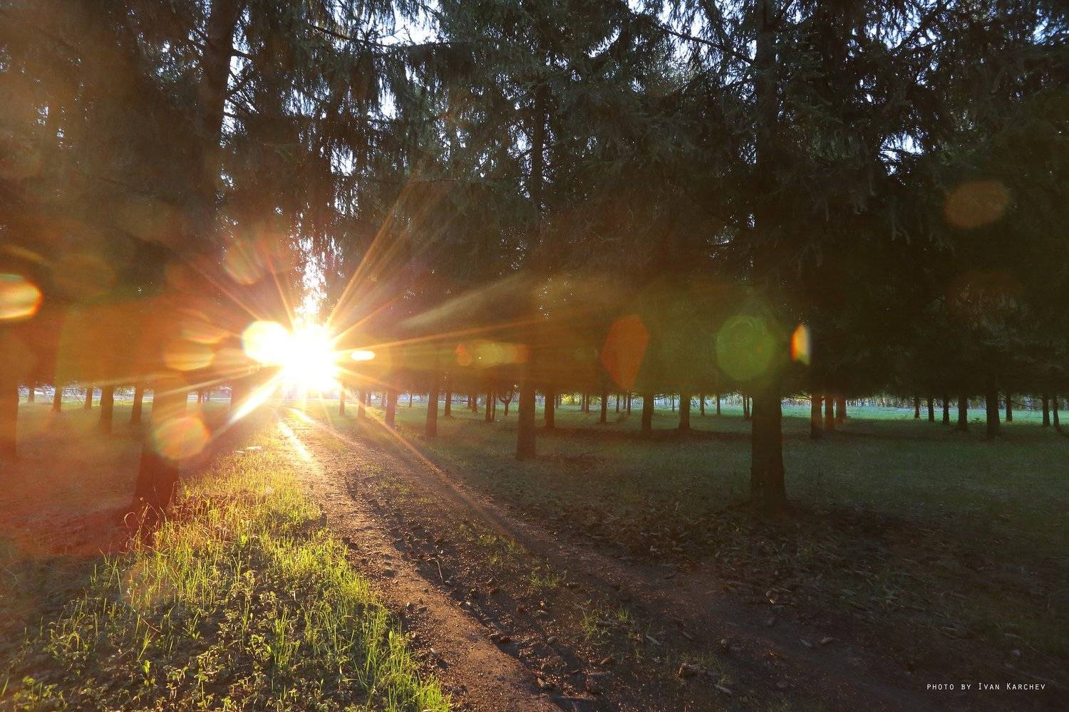 , Иван Карчев