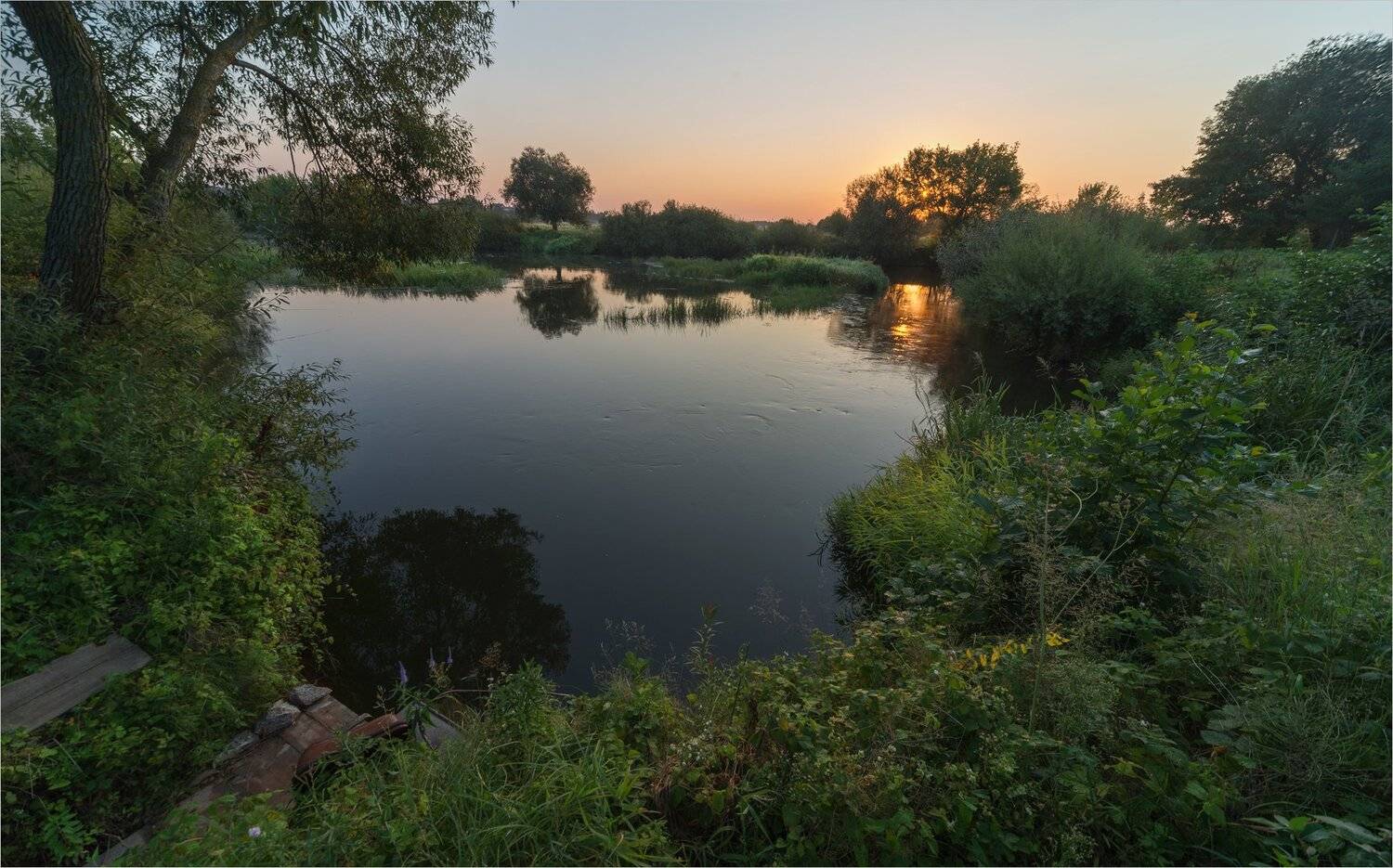 , Николай Шахманцир