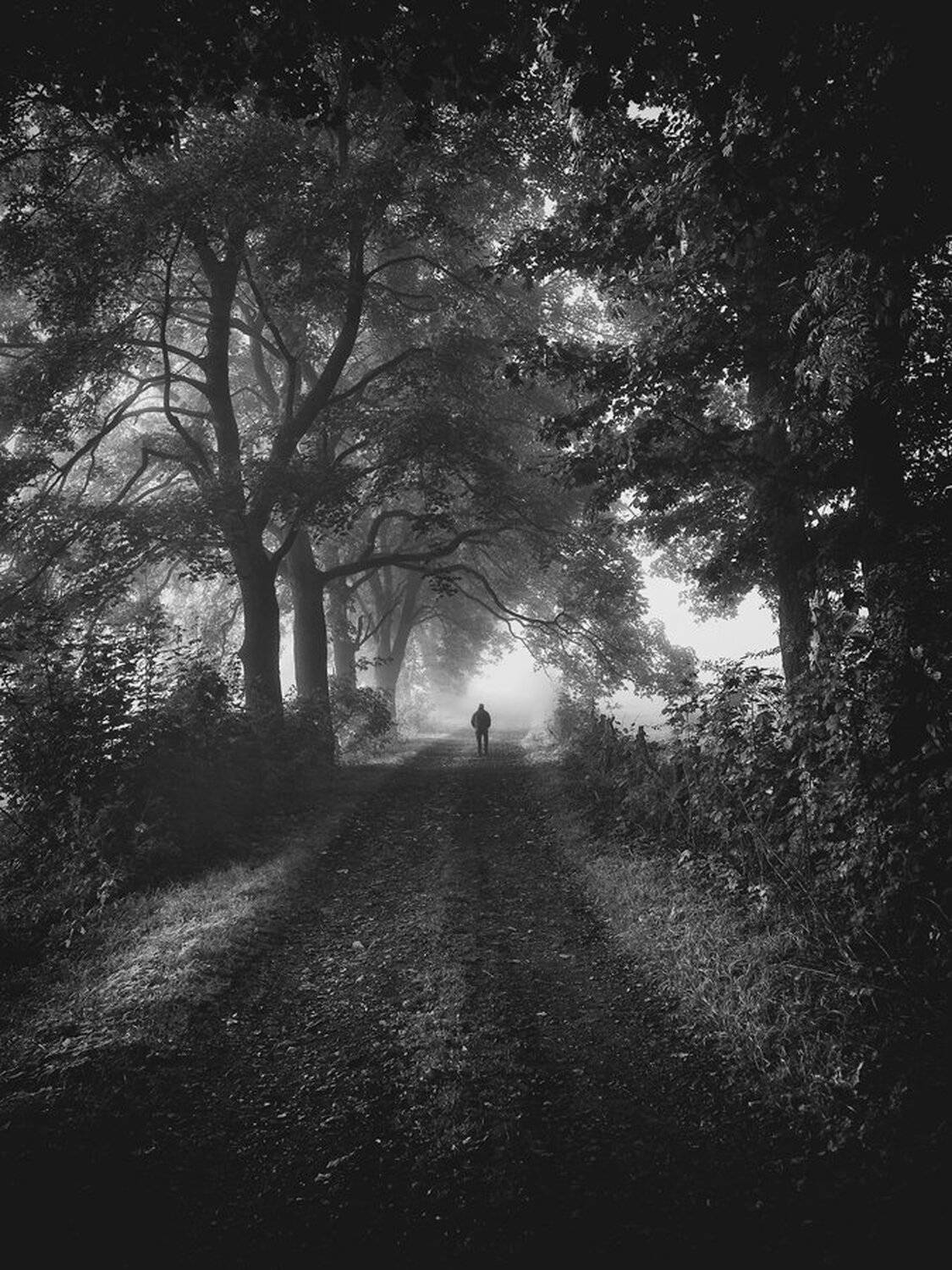 landscape,canon,mist,light,autumn, Iza,Darek