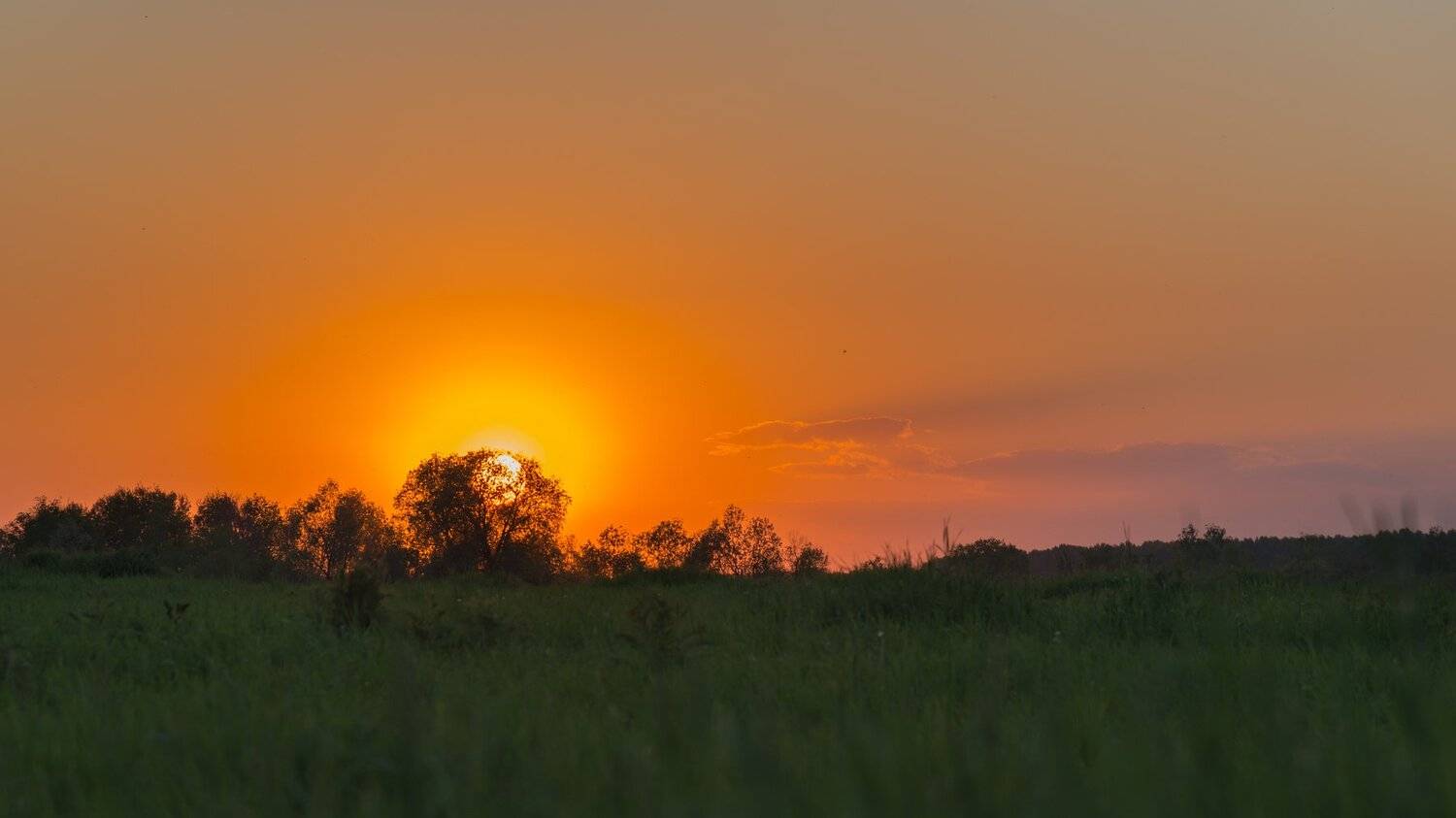 , Андрей Поляков