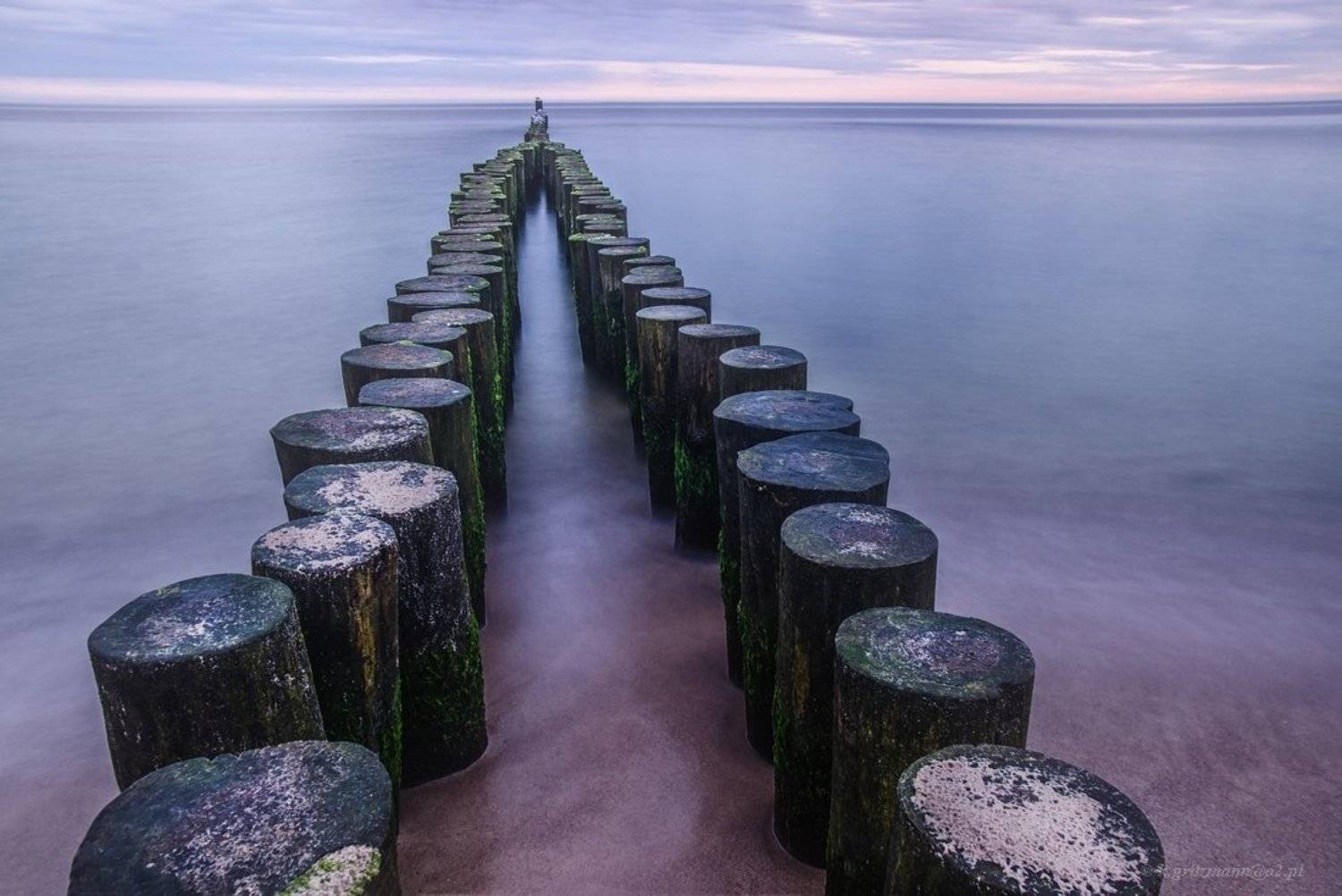 , Katarzyna Gritzmann