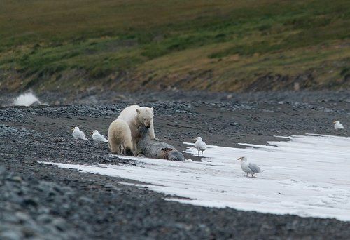 на берегу...