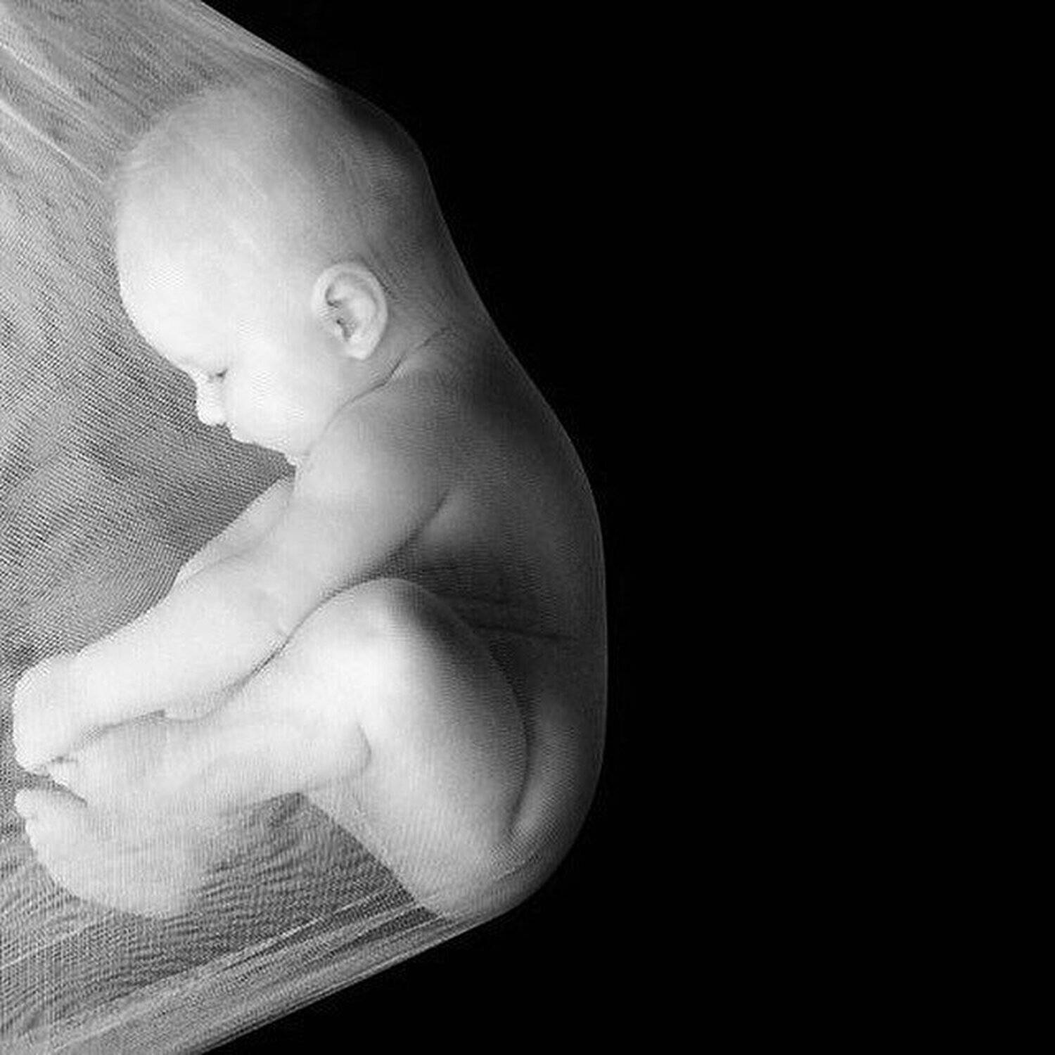 мледенец, малыш, ребенок, живот, беременность, жизнь, Дарья Комарова