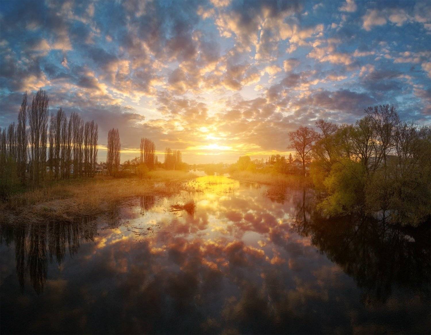 , Тимур Подколзин