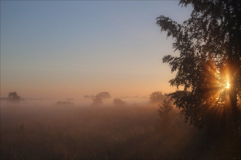Августовские контровички фото превью