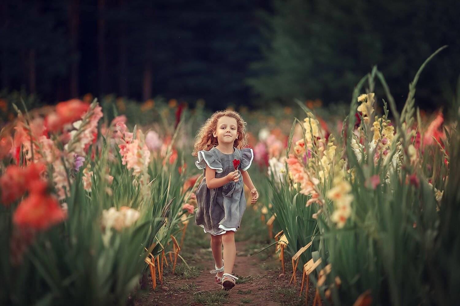 дети, портрет, семья, Ольга Балакир