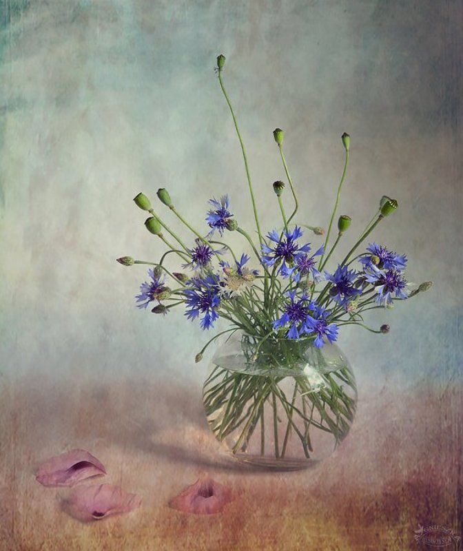 Cztery pory roku - Lato фото превью