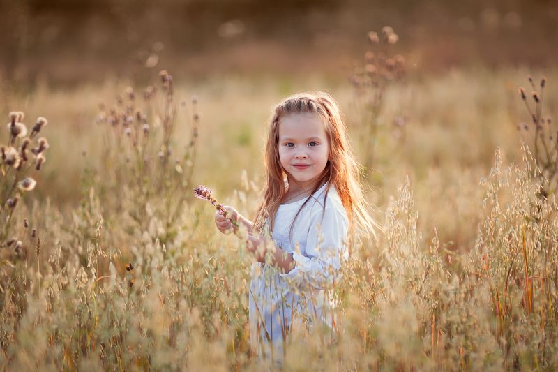 девочка, ребенок, зерновое поле, девочка в поле Овсяное поле фото превью