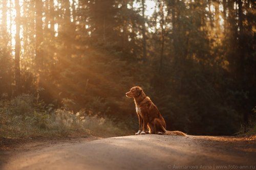 на рассвете 