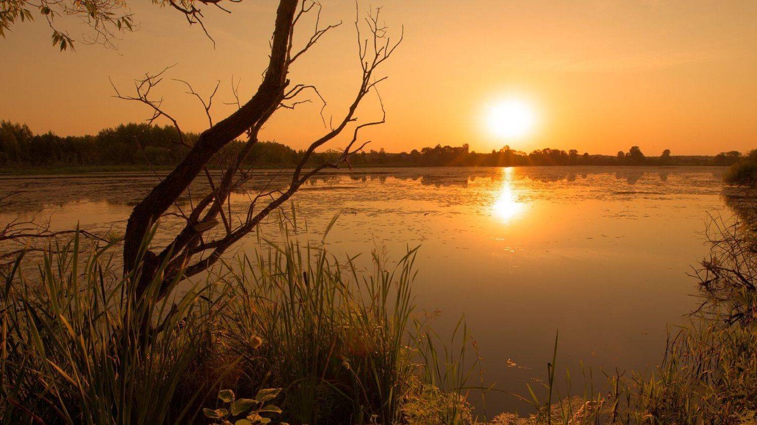 , Михаил Кушнер