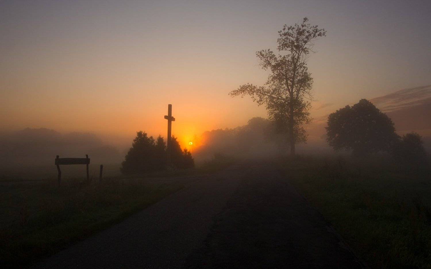 , Pawel Plucinski