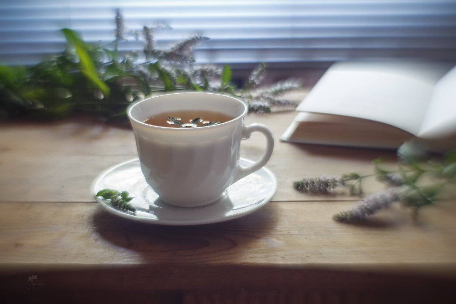 , Инна Сухова