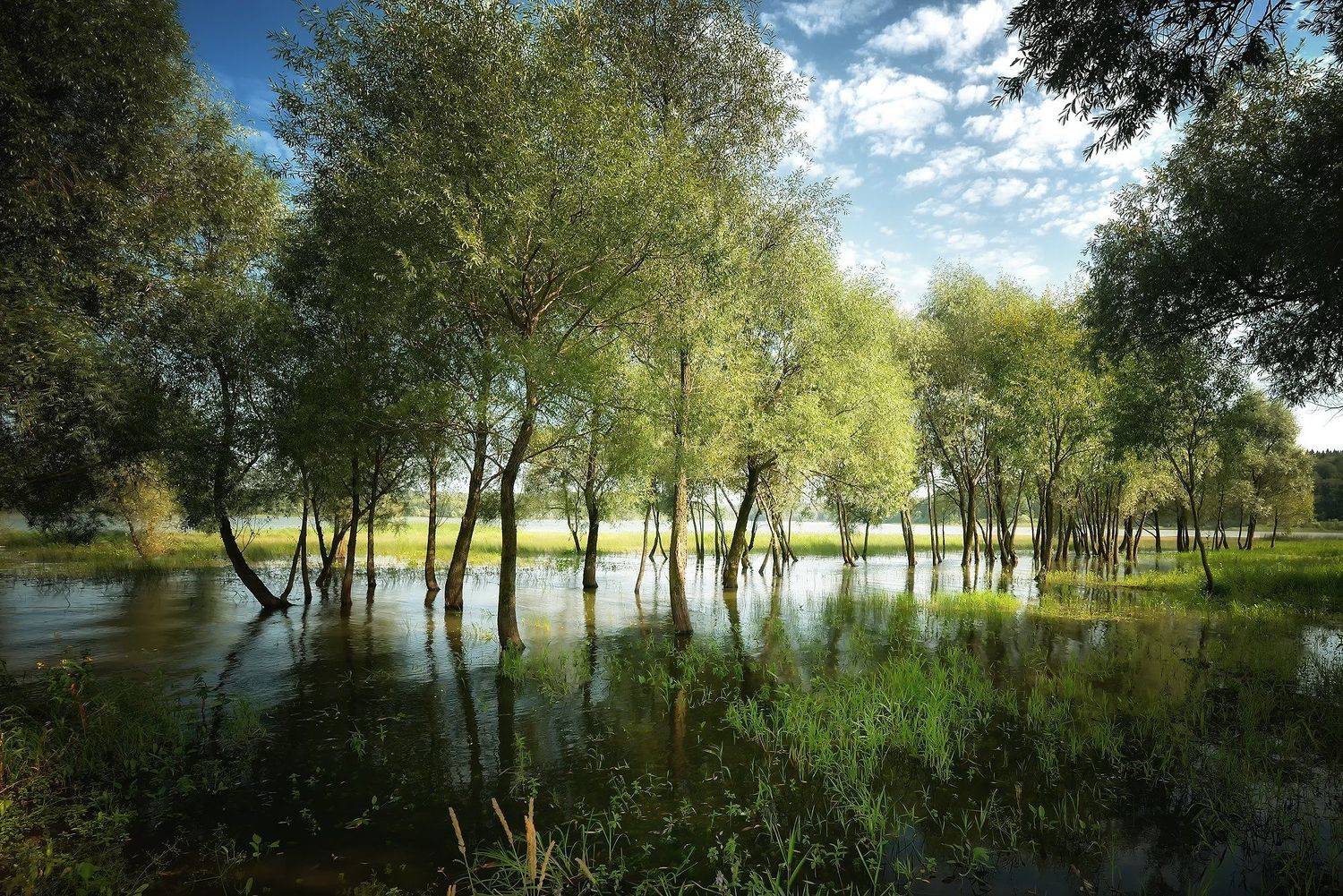 , Алексей Никонов